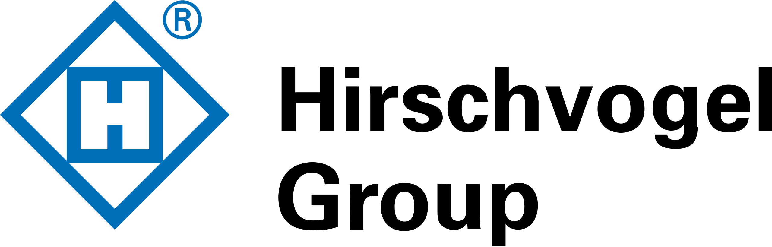 Logo de Hirschvogel